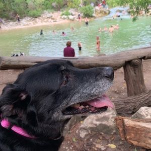 Meet your Posher, Ann